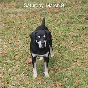 Meet your Posher, James